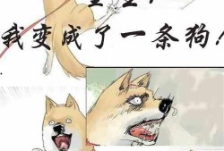 吃瓜吃到家小说免费阅读,揭秘娱乐圈背后的秘密