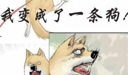 吃瓜吃到家小说免费阅读,揭秘娱乐圈背后的秘密