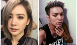 台湾明星隐私爆料视频大全,视频大全深度剖析