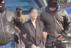 俄罗斯爆料间谍视频大全,视频大全深度解析