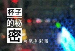 甘肃饭店爆料视频最新版,揭露惊人内幕，真相令人震惊！