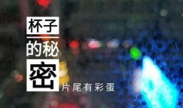 甘肃饭店爆料视频最新版,揭露惊人内幕，真相令人震惊！