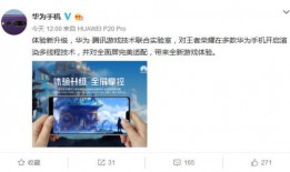 华为爆料教授是真的吗视频,揭秘背后真相