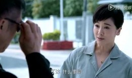 在线观看国家底线,揭秘反腐斗争背后的惊心动魄