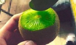抖音吃大瓜的网红,网红大瓜背后的故事