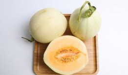 甜瓜美食爆料视频下载,视频爆料带你领略瓜香四溢的味蕾盛宴