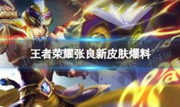新王者皮肤爆料最新消息,揭秘神秘爆料背后的精彩细节