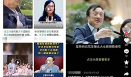 华为爆料教授是真的吗视频,揭秘背后真相