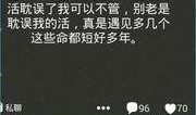 乌鸦爆料老罗视频大全集,老罗视频大全集深度解析