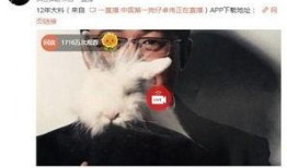 爆料衡水出轨事件视频曝光,真相与争议交织的婚外情风波