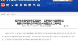 南宁逃单爆料事件最新进展,真相大白，涉事商家及顾客责任界定揭晓