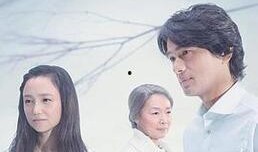 在线观看命运,揭秘网络世界中的命运之谜