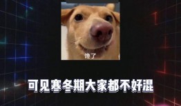 娱乐八卦吃瓜网站大全视频,揭秘各大吃瓜网站热门视频盘点