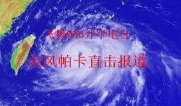 最新台风爆料视频,直击风暴眼，揭秘台风形成与影响