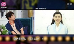 魏大勋何炅爆料视频,揭秘娱乐圈幕后趣事
