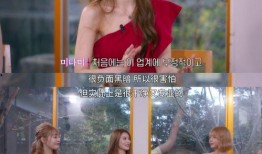 韩国成人台在线观看,揭秘私密娱乐世界