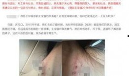 王宝强最新消息保姆爆料,揭秘明星家庭背后的惊人真相
