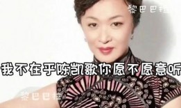 天涯爆料洪晃视频大全,揭秘娱乐圈不为人知的幕后故事