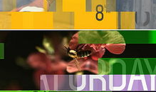 娱乐爆料模板视频素材下载,热门视频素材下载幕后故事