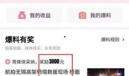 梅县头条最新爆料最近,最新爆料事件背后的惊人真相！