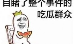 吃瓜发现全家皆大佬免费阅读,吃瓜发现全家皆大佬的免费阅读之旅