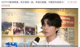 王俊凯录音爆料最新,揭秘娱乐圈背后的真相与争议