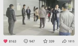 临颍新闻爆料事件视频播放,视频揭示惊人真相