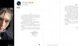 记者爆料陈飞宇视频完整版,记者爆料背后的真相与细节