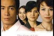 珠光宝气在线观看全集,揭秘豪门恩怨，演绎璀璨人生