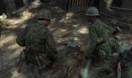 敌兵在线观看,揭秘战场背后的真实较量