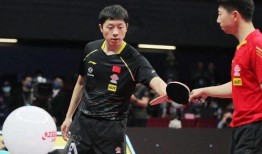 国乒圈内爆料,独家爆料背后的真相与内幕