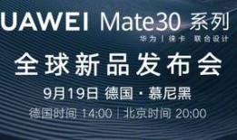 核心爆料完整视频,揭秘事件真相全貌