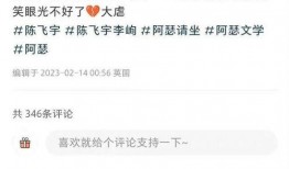 记者爆料陈飞宇视频完整版,记者爆料背后的真相与细节