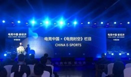 鸿毅电竞爆料最新消息视频,揭秘电竞圈幕后风云