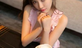 秘密女搜查官在线观看,揭秘暗影中的正义之光
