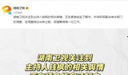 娱乐吃瓜所,揭秘明星幕后故事