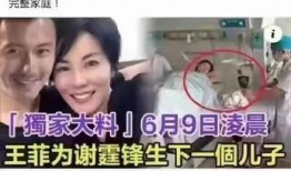 王菲怀三胎李亚鹏爆料视频