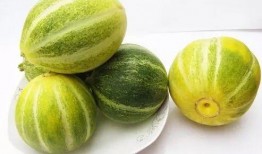 甜瓜美食爆料视频下载,视频爆料带你领略瓜香四溢的味蕾盛宴