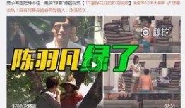 王海发视频爆料是真的吗,王海发视频爆料真实性揭秘