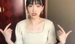 丁嘉文前女友爆料视频