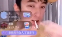 网红桂哥爆料视频播放在线观看,揭秘网红幕后故事