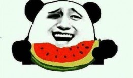 娱乐圈吃瓜系统雕动画