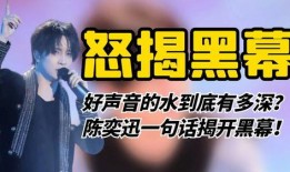 陈奕迅爆料转身视频在线观看,独家爆料视频在线观看