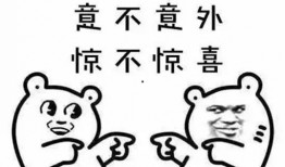 华润爆料最新消息视频曝光,视频曝光惊人内幕，揭秘行业黑幕