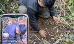 最新荒野求生爆料,揭秘生存秘籍与惊险挑战！