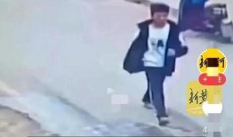 邯郸事件最新爆料信息,惊人内幕曝光，真相令人震惊！