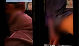 胖猫爆料女主截图视频