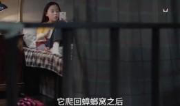 三姐爆料视频在线观看,揭秘幕后真相，带你走进事件核心