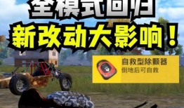 和平精英宝车皮最新爆料,神秘外观引玩家热议