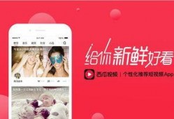 吃瓜爆料视频素材网易,网易视频素材背后的故事